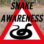 Emergency First Aid for Snake Bites
